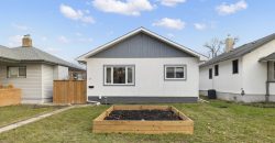 11 Silvia St | A Modern Gem in Glenelm