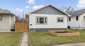 11 Silvia St | A Modern Gem in Glenelm