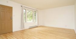 319 Kildare Ave W | Beautiful 2 Bedroom Transcona Home