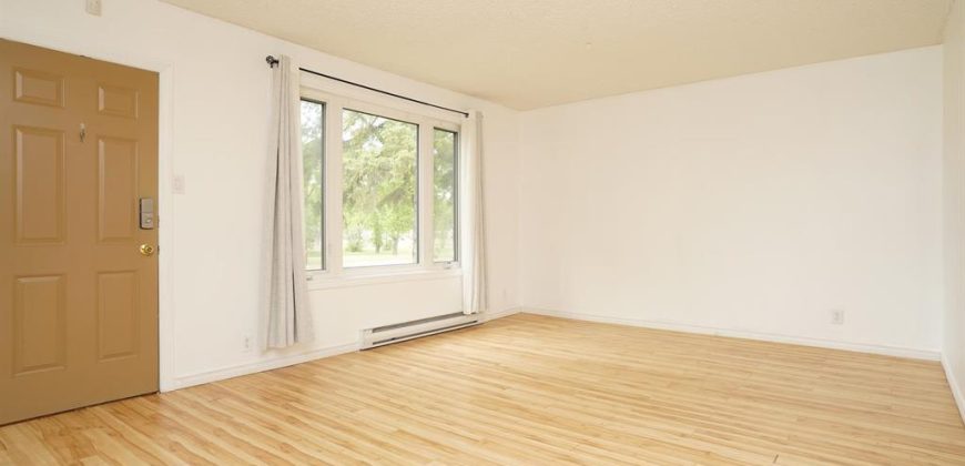 319 Kildare Ave W | Beautiful 2 Bedroom Transcona Home